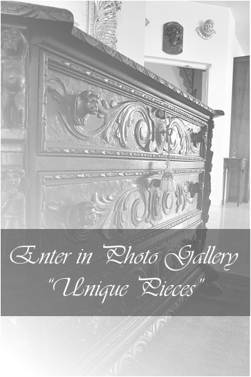 Enter in Photo Gallery Unique Pieces