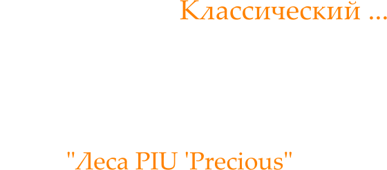 Классический ...  сфабрикованы сочетание времени, Только твердая древесина с использованием только "Леса PIU 'Precious"