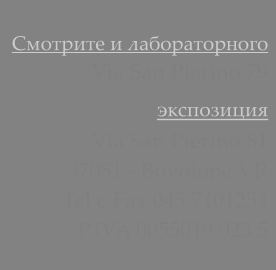 Смотрите и лабораторного Via San Pierino 79 экспозиция  Via San Pierino 81 37051 - Bovolone VR Tel e Fax 045 7101254 P.IVA 0055019 023 5
